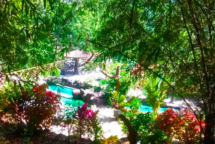 Photo of This Secluded Cabin In The Woods In Goa Is Perfect For Those Seeking A Romantic Getaway by Aakanksha Magan
