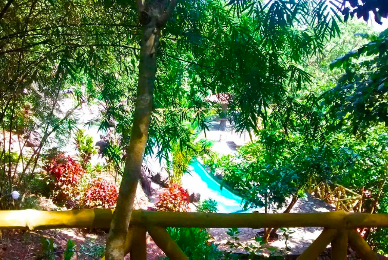 Photo of This Secluded Cabin In The Woods In Goa Is Perfect For Those Seeking A Romantic Getaway by Aakanksha Magan