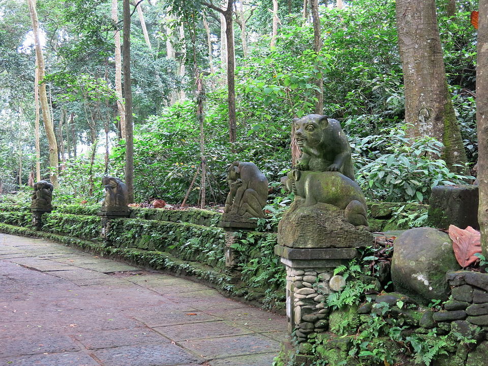 Photo of Monkey Forest, Ubud, Gianyar, Bali, Indonesia by Aakanksha Magan