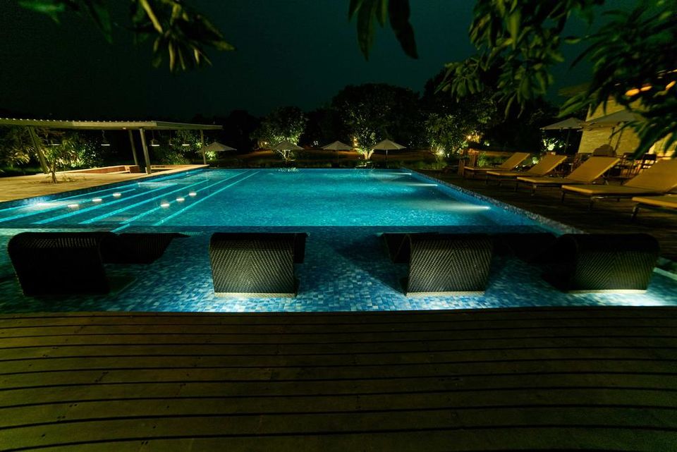 Photo of Woods at Sasan: A Lion Safari, A Village Wedding And Much More Makes This The Ideal Family Vacation by Aakanksha Magan