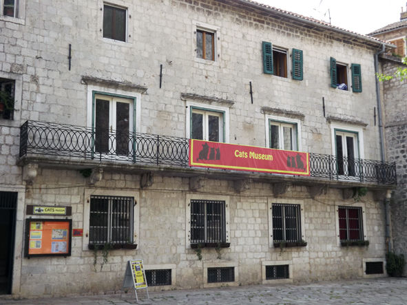 Photo of Kotor, An Unexplored UNESCO World Heritage City In Europe, Is Dirt-Cheap And A Backpacker Heaven by Aakanksha Magan