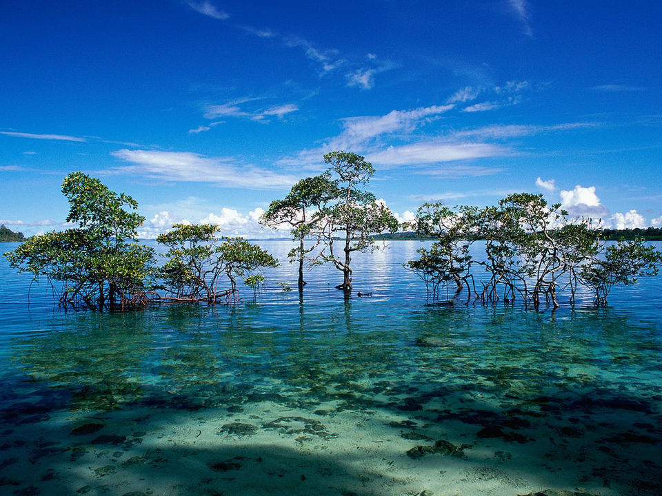 Photo of Andaman Islands, North and Middle Andaman, Andaman and Nicobar Islands, India by Aakanksha Magan