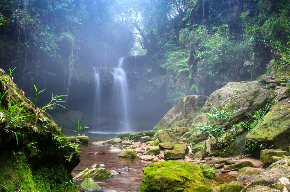 Photo of For Just ₹20, You Can Visit These Cave Gardens Hiding In The Middle Of An Indian Jungle by Aakanksha Magan