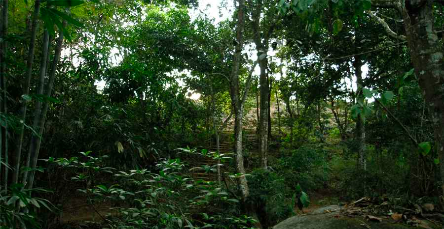 Photo of This Bamboo House Amidst Lush Green Landscapes Will Make You Wanna Spend An Eternity There by Aakanksha Magan