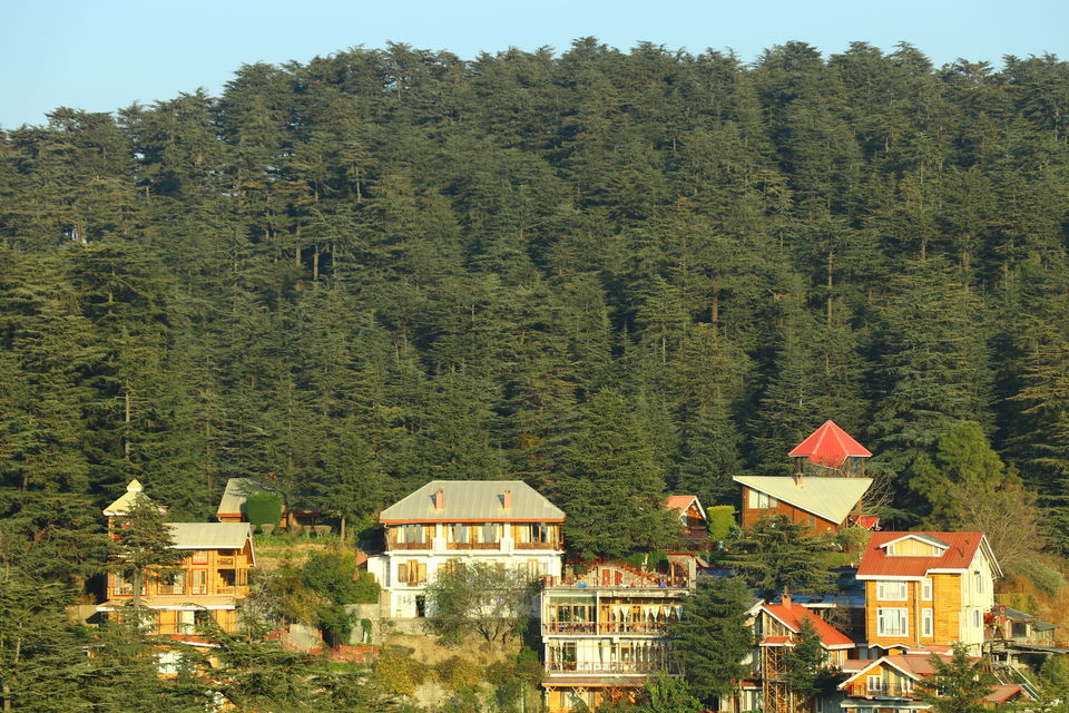 Photo of Hidden In The Dense Deodar Forests Near Shimla, The Chalets Naldehra is Your Next Luxury Getaway 1/3 by Aakanksha Magan