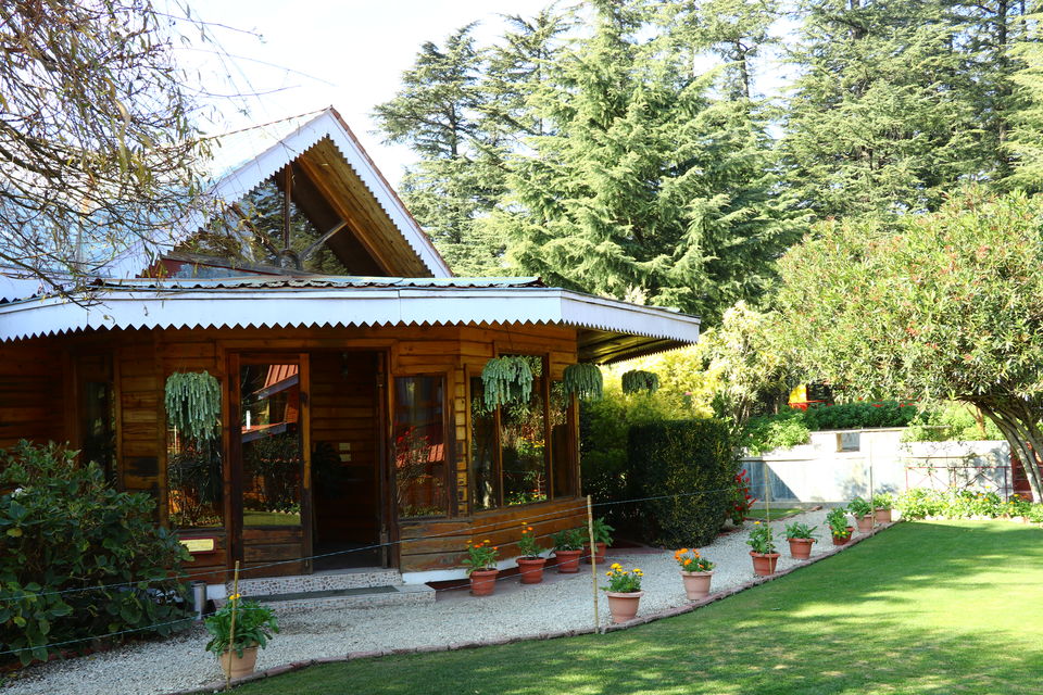 Photo of Hidden In The Dense Deodar Forests Near Shimla, The Chalets Naldehra is Your Next Luxury Getaway 2/3 by Aakanksha Magan