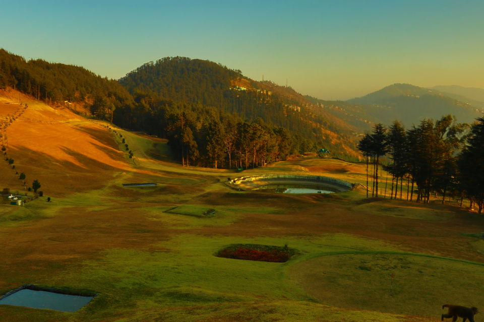 Photo of Hidden In The Dense Deodar Forests, In The Lap Of Himalayas Lies Your Next Luxury Getaway by Aakanksha Magan