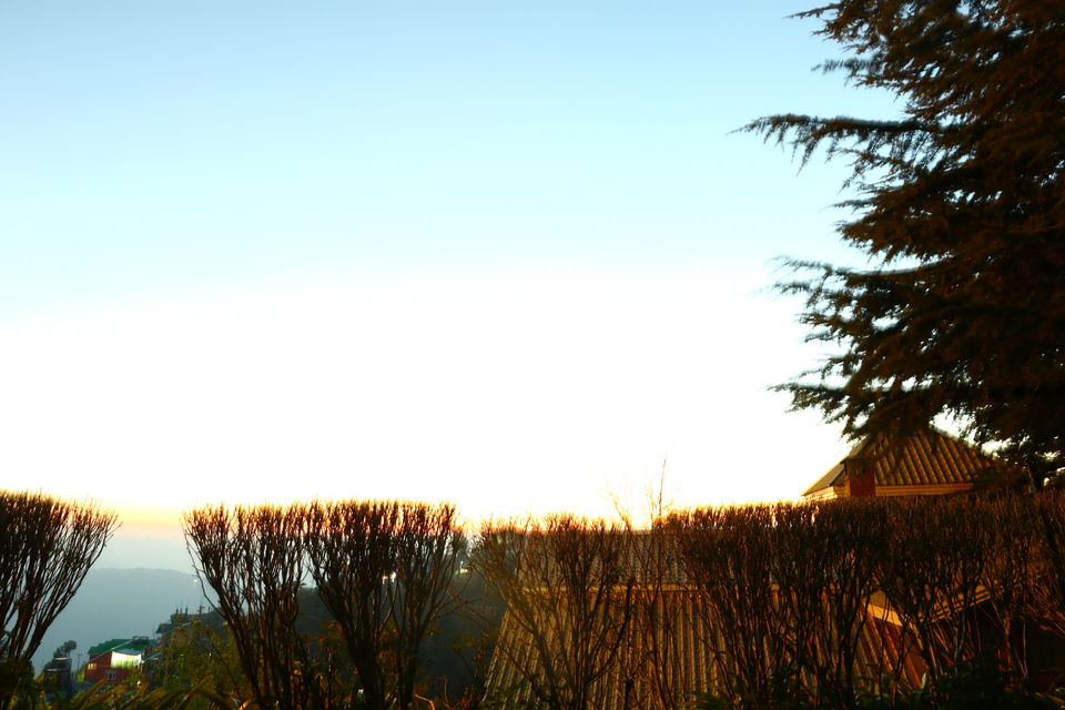 Photo of Hidden In The Dense Deodar Forests, In The Lap Of Himalayas Lies Your Next Luxury Getaway by Aakanksha Magan