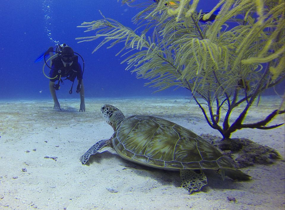 Photo of Maldives by Aakanksha Magan