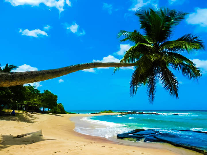 Photo of Sri Lanka by Aakanksha Magan