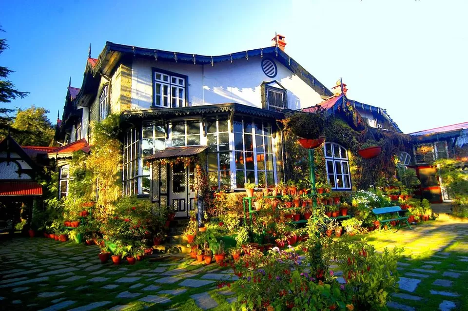Photo of Chapslee, Longwood, Shimla, Himachal Pradesh, India by Aakanksha Magan