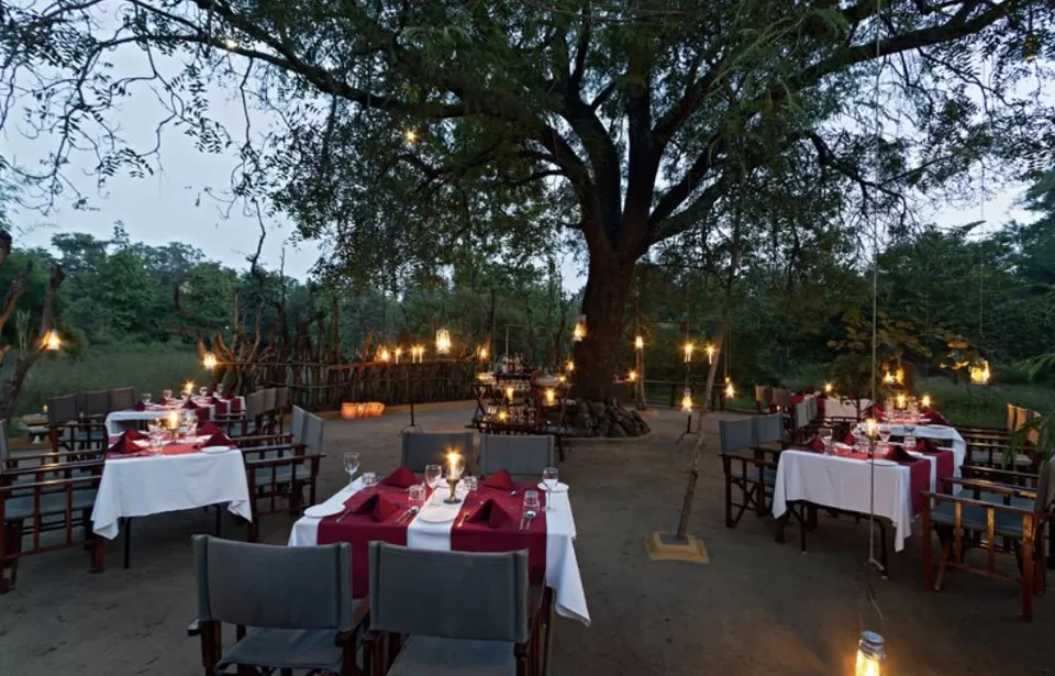 Photo of Reni Pani Jungle Lodge, Raini Pani, Madhya Pradesh, India by Aakanksha Magan