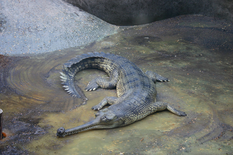 Photo of Panna National Park, Kathari, Madhya Pradesh, India by Aakanksha Magan