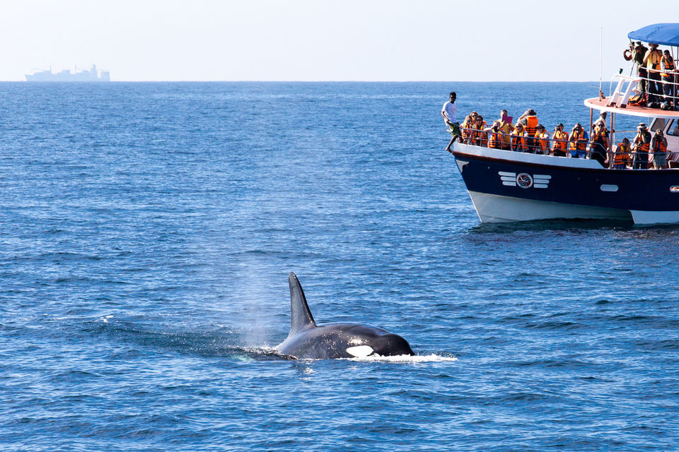 Photo of Adventures Besides Scuba Diving In Sri Lanka That Are Guaranteed To Set Your Pulse Racing by Aakanksha Magan