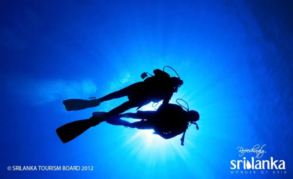 Photo of Adventures Besides Scuba Diving In Sri Lanka That Are Guaranteed To Set Your Pulse Racing by Aakanksha Magan