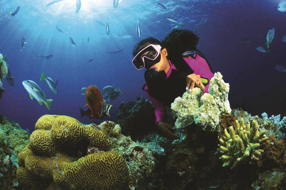 Photo of Adventures Besides Scuba Diving In Sri Lanka That Are Guaranteed To Set Your Pulse Racing by Aakanksha Magan