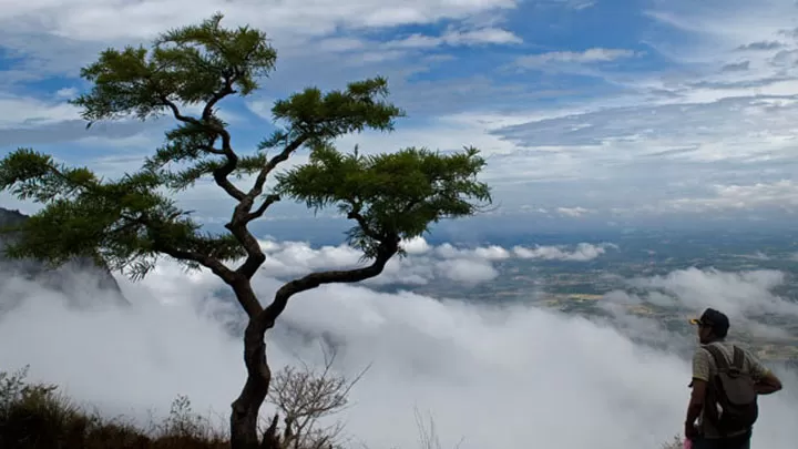 Photo of Orange Plantations and a 19th Century Dam: Kerala's Nelliyampathy Hills are Now Abuzz with Tourists by Aakanksha Magan