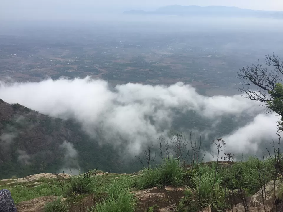 Photo of Orange Plantations and a 19th Century Dam: Kerala's Nelliyampathy Hills are Now Abuzz with Tourists by Aakanksha Magan