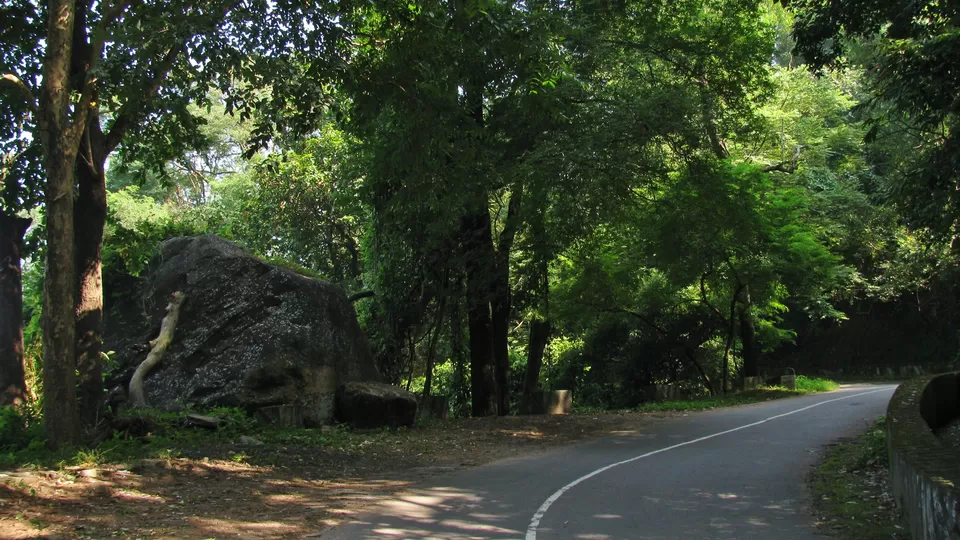 Photo of Orange Plantations and a 19th Century Dam: Kerala's Nelliyampathy Hills are Now Abuzz with Tourists by Aakanksha Magan