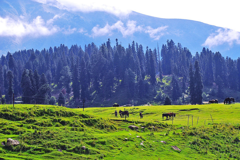 Photo of Five Types Of Luxury Getaways Every Traveller Deserves by Aakanksha Magan