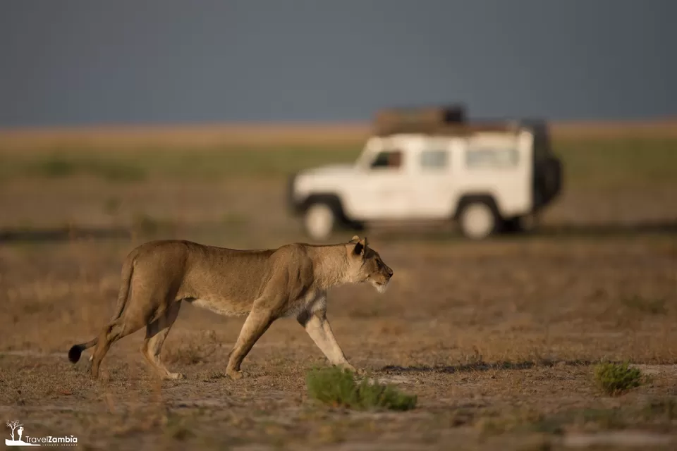 Photo of Liuwa Plain National Park, Zambia by Aakanksha Magan