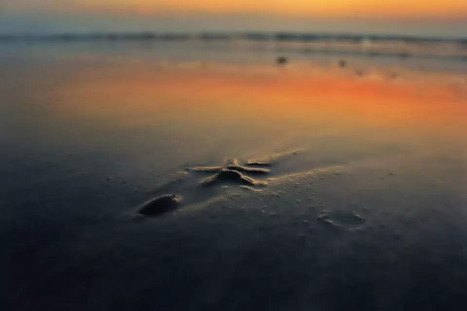 Photo of Calangute, Goa, India by Shubham Ganbote