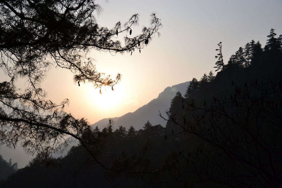 Photo of A laid-back guide to North Bengal by Nayan Das