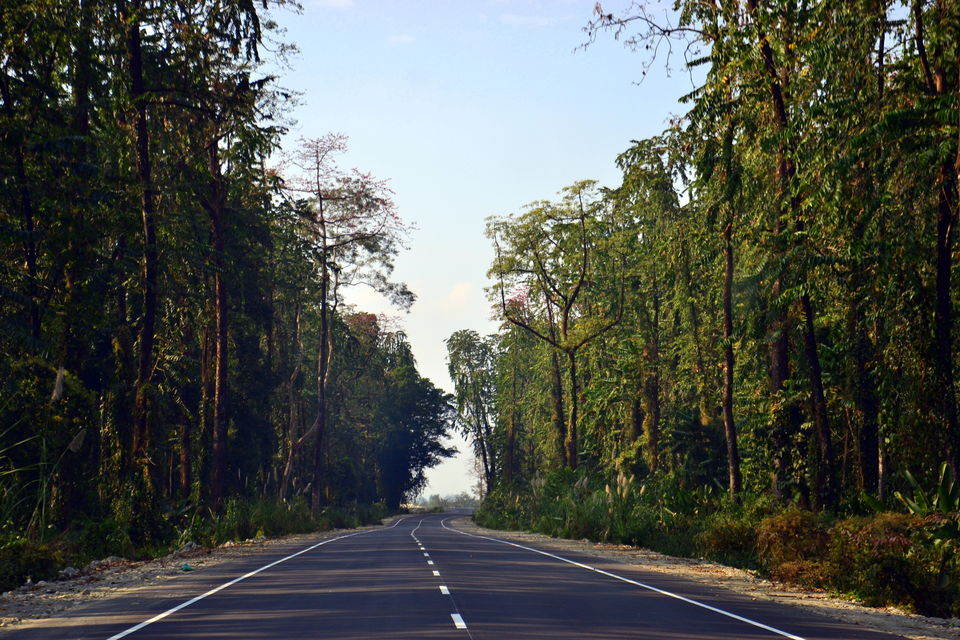 Photo of National Highway 515, Pasighat by Nayan Das