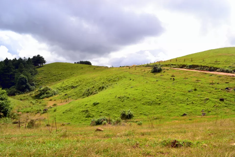 Photo of Nongkhnum Island, Nongkhnum Road, Meghalaya, India by Nayan Das