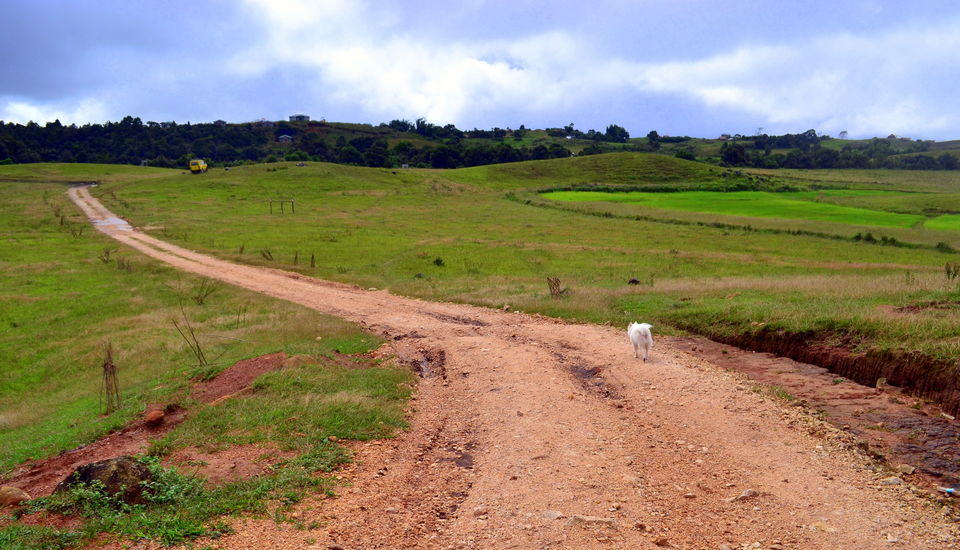 Photo of Nongkhnum Island, Nongkhnum Road, Meghalaya, India by Nayan Das