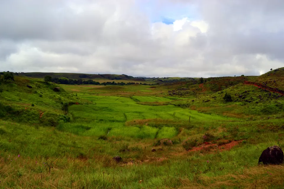 Photo of Nongkhnum Island, Nongkhnum Road, Meghalaya, India by Nayan Das