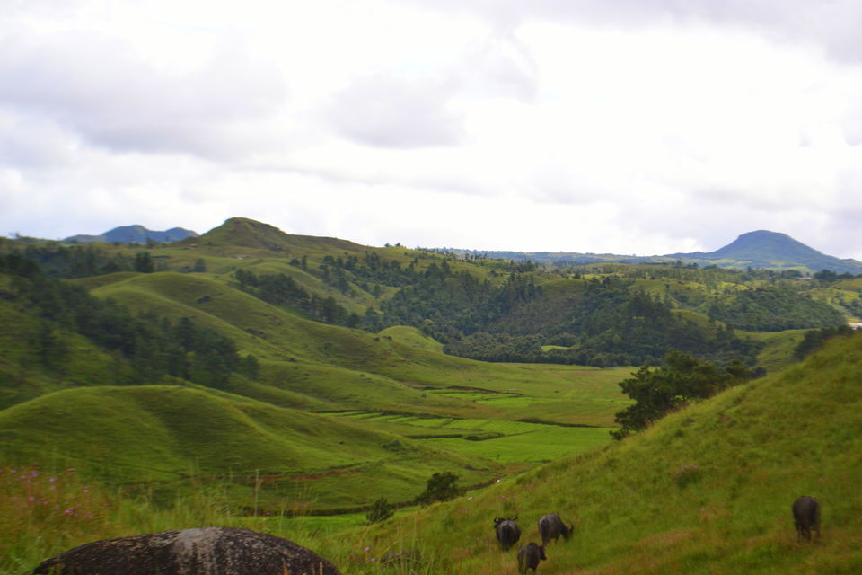 Photo of Nongkhnum Island, Nongkhnum Road, Meghalaya, India by Nayan Das