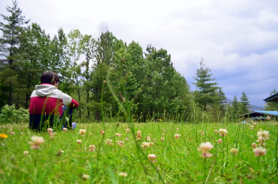 Photo of Royal Thimphu College Guest House, Thimphu, Bhutan by Nayan Das