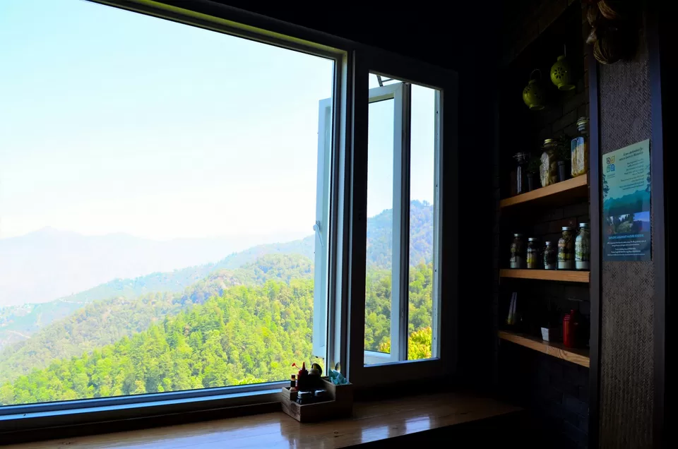 Photo of Little Llama Cafe, The Mall Road, Mussoorie, Uttarakhand, India by Nayan Das