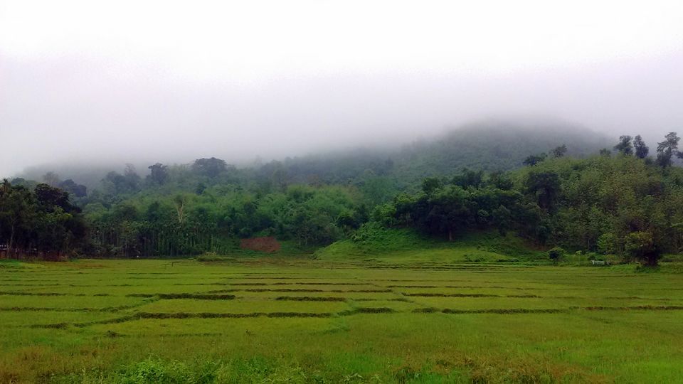 Photo of Nibira N.C., Assam, India by Nayan Das