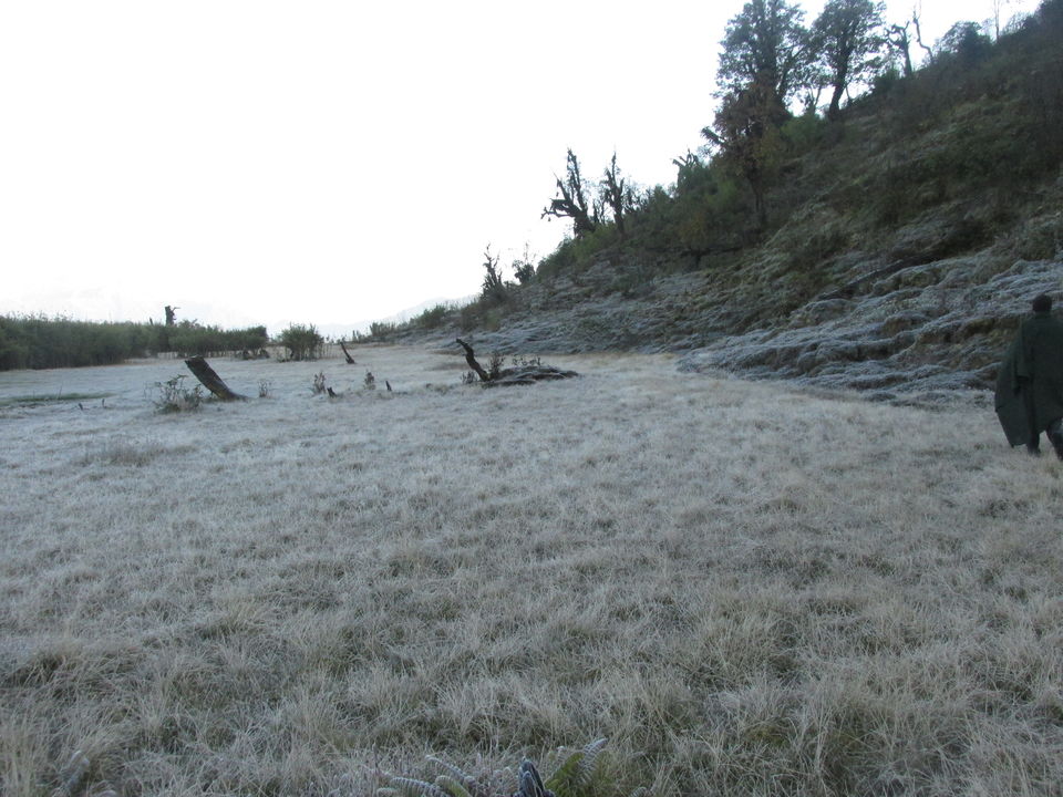 Photo of Maenam Hill Trek, Ravangla, Sikkim by RAHUL KARALGIKAR