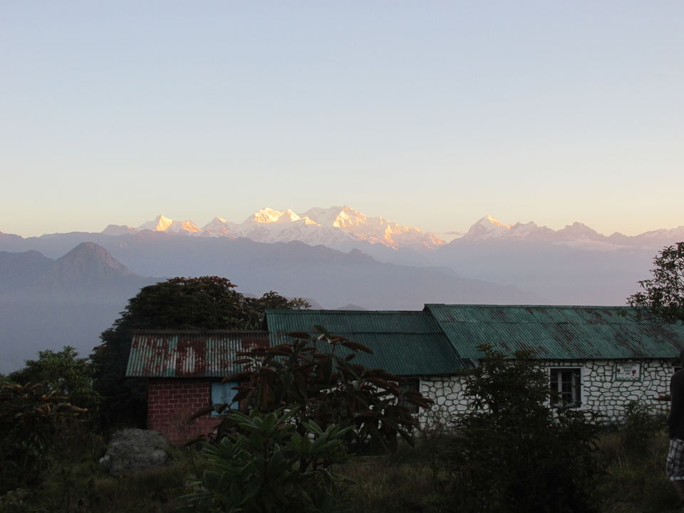Photo of A journey to seclusion, Varsey, Sikkim. 3/5 by RAHUL KARALGIKAR