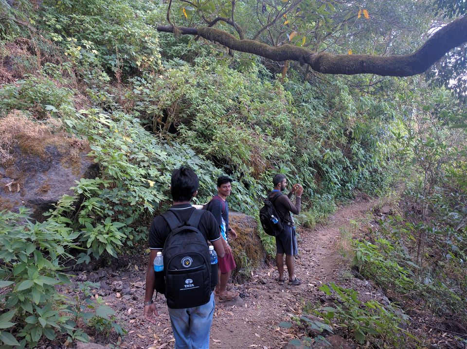 Photo of Rajgad to Torna 16/25 by RAHUL KARALGIKAR