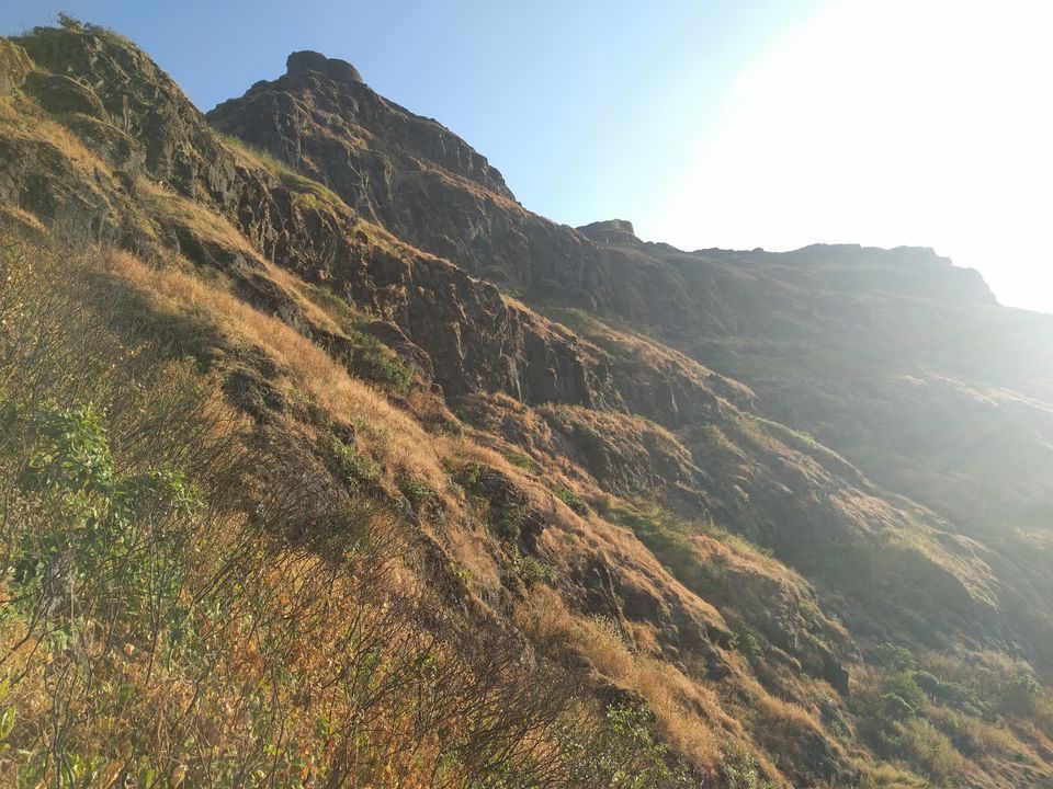 Photo of Rajgad to Torna 23/25 by RAHUL KARALGIKAR