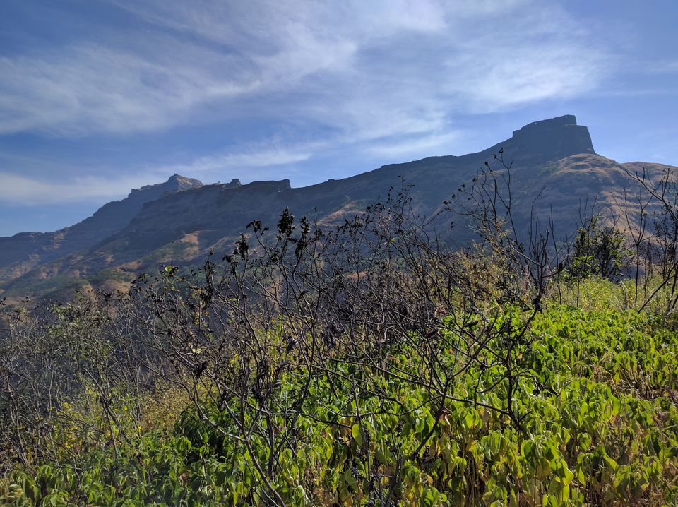Photo of Rajgad to Torna 15/25 by RAHUL KARALGIKAR