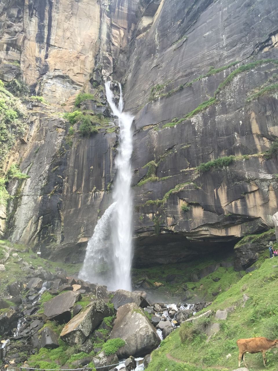 Photo of A trip that changed me as a person and my perspective of Life . Manali Trek !! 8/52 by Meditatingwanderer
