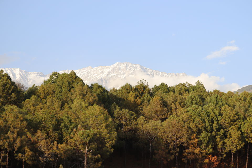 Photo of Hotel The Pavilion, Dharamshala, Himachal Pradesh, India by Meditatingwanderer