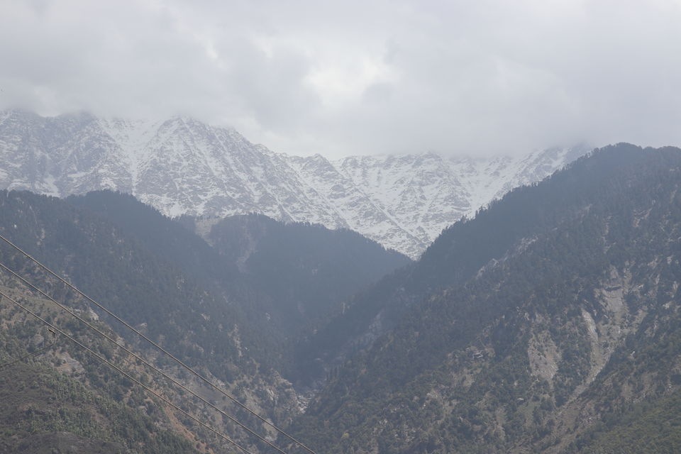 Photo of My mother's first meeting with Snow. Dalhousie Trek! Mcleodganj a hidden beauty , Dharamshala Wow! by Meditatingwanderer