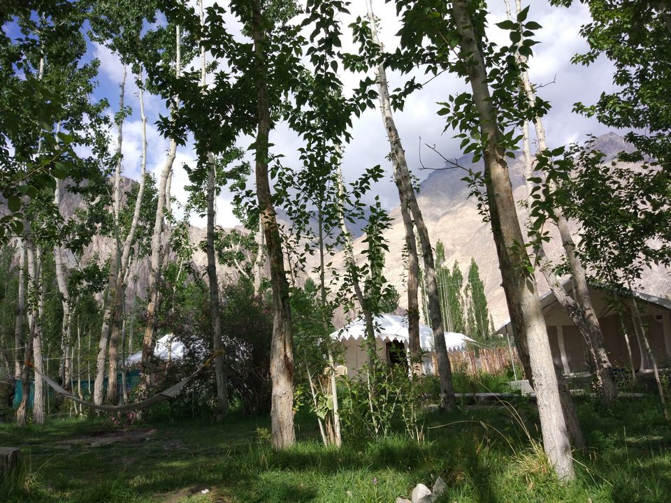 Photo of Everything About Ladakh | Pangong | HanLe | Khardung La | Nubra | Monastery | Travel Diary 35/46 by Meditatingwanderer