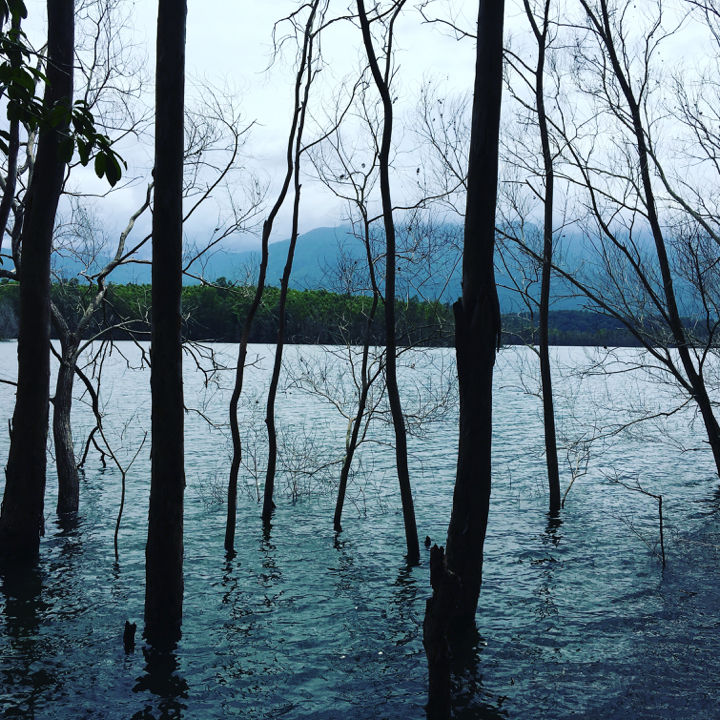 Photo of One dam for many life.. Peppara Dam & the surrounding beauty by Vipin Vijayakumar