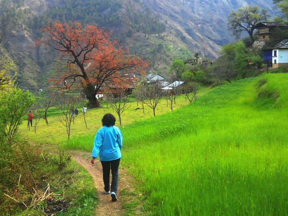 Photo of Tirthan, Kullu, Himachal Pradesh, India by Himani Chandorkar