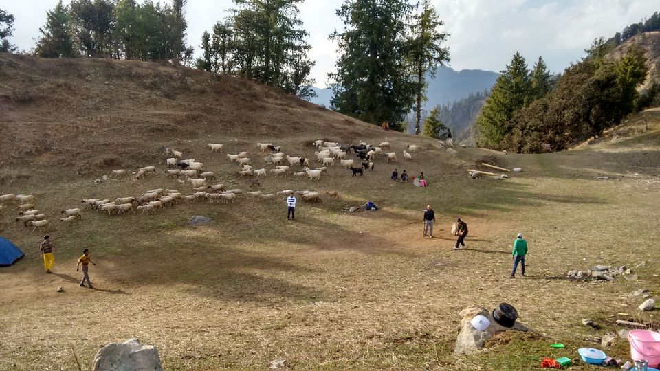 Photo of Daredevils, explorers, soul searchers: Tirthan Valley holds special treats for all by Himani Chandorkar