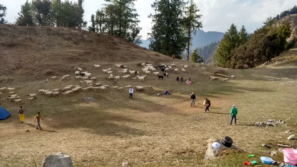 Photo of Daredevils, explorers, soul searchers: Tirthan Valley holds special treats for all by Himani Chandorkar