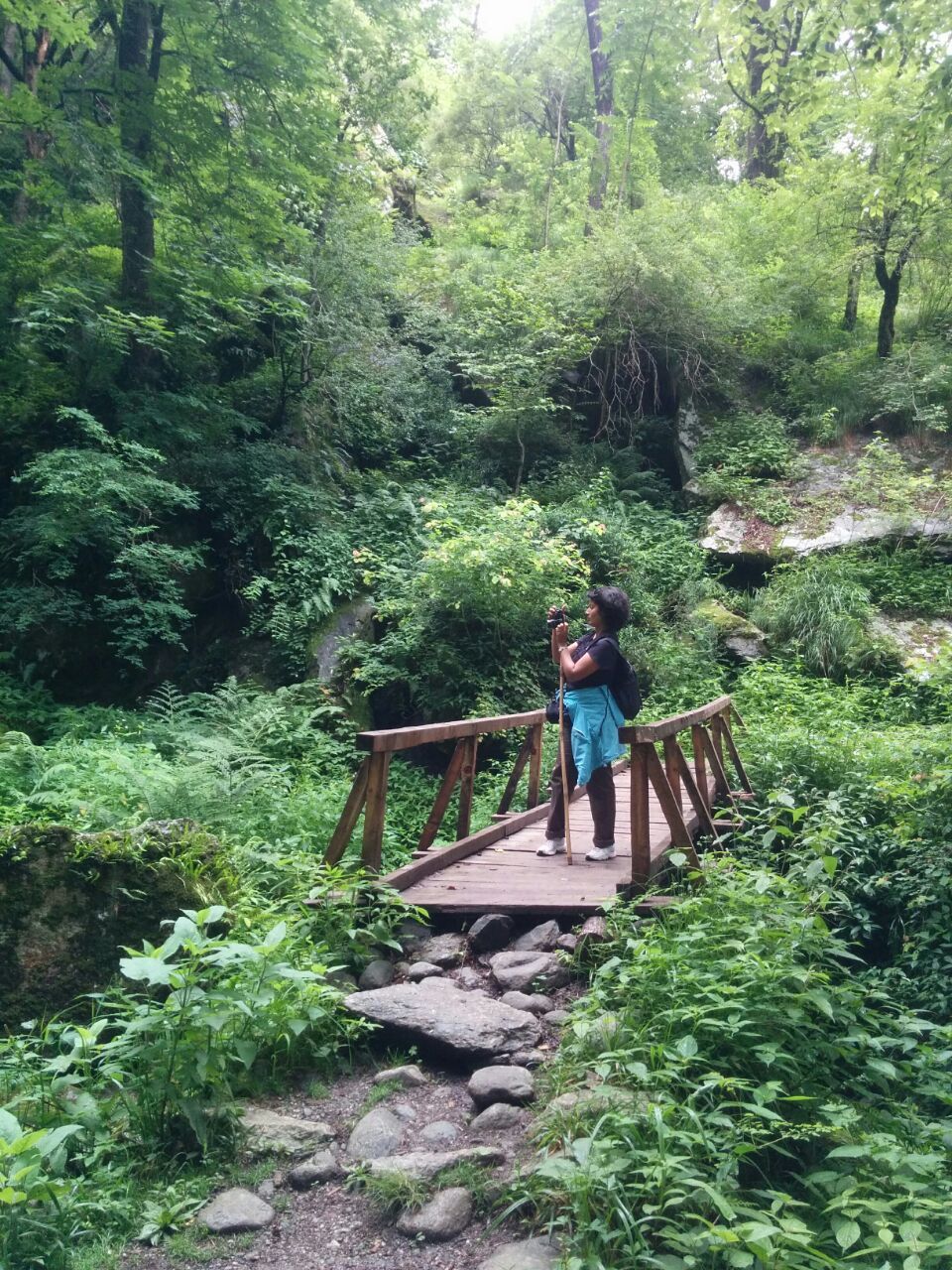 Photo of Daredevils, explorers, soul searchers: Tirthan Valley holds special treats for all by Himani Chandorkar