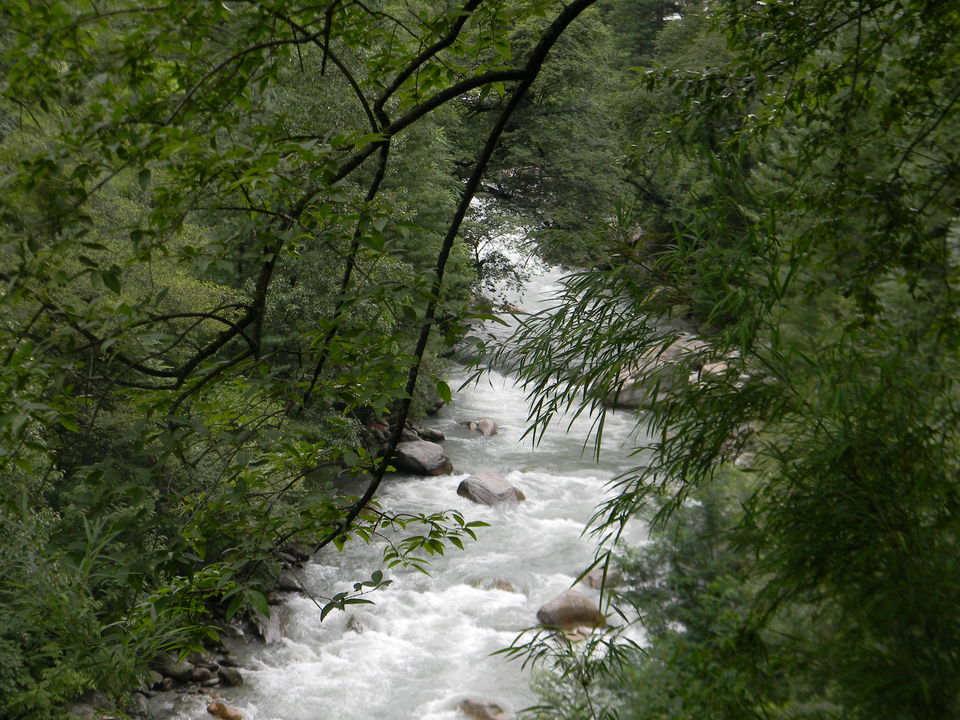 Photo of Daredevils, explorers, soul searchers: Tirthan Valley holds special treats for all by Himani Chandorkar